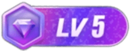 等级-LV5-52网创