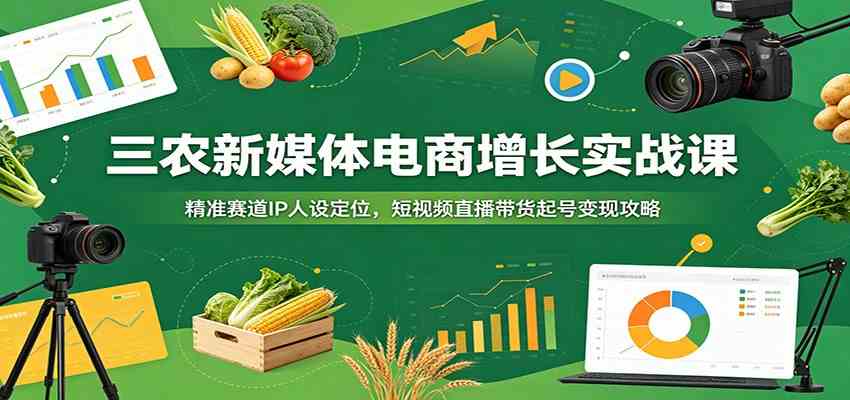 三农新媒体电商增长实战课：精准赛道IP人设定位，短视频直播带货起号变现攻略-52网创