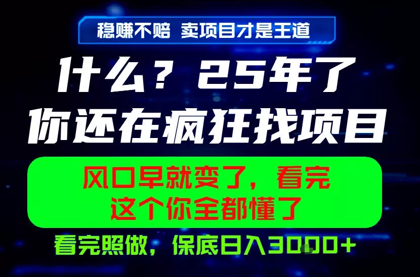 26年，请不要疯狂的找项目做了！卖项目才是真的稳賺不赔，看完照做，保底日入1k+【揭秘】-52网创
