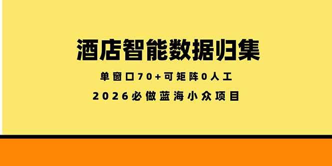 （18500期）酒店智能数据归集，小众蓝海已经稳定半年之久，单窗口70+零成本矩阵开干-52网创