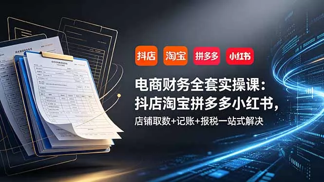 电商财务全套实操课：抖店淘宝拼多多小红书，店铺取数+记账+报税一站式解决 - 52网创-52网创