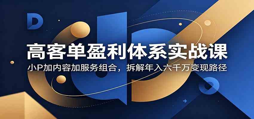 高客单盈利体系实战课：小P加内容加服务组合，拆解年入六千万变现路径 - 52网创-52网创