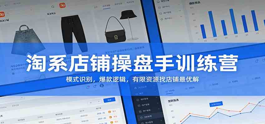 淘系店铺操盘手训练营:模式识别,爆款逻辑,有限资源找店铺最优解-52网创