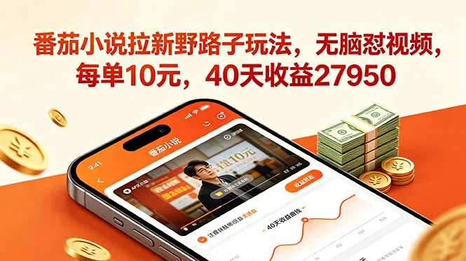 番茄小说拉新野路子玩法，无脑怼视频，每单10元，40天收益27950 - 52网创-52网创