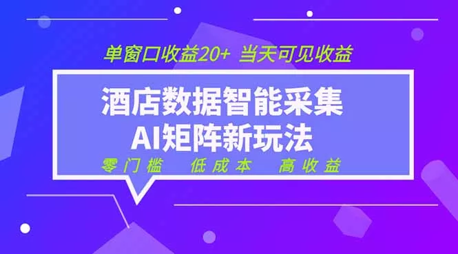 2026酒店数据采集ai智能矩阵新风口 低成本 高收益 当天见收益 单窗口20+ - 52网创-52网创