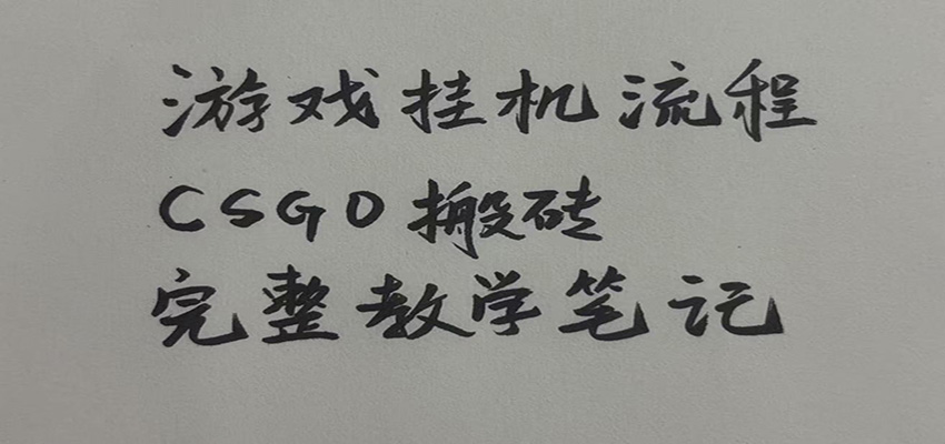 游戏挂机全流程笔记分享，CSGO游戏搬砖，小白看了当天学会见收益 - 52网创-52网创