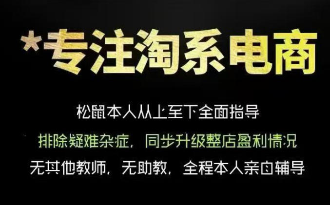 松鼠会电商VIP课程，从基础布局到高阶优化，助你掌握淘宝运营逻辑，提升店铺流量与转化 - 52网创-52网创