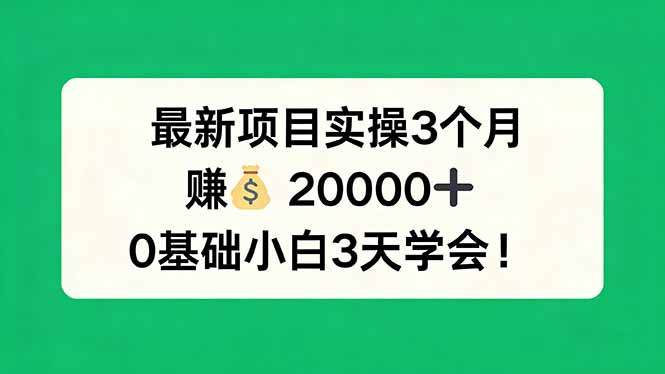 （17856期）最新项目实操3个月，赚钱20000+，0基础小白3天学会！ - 52网创-52网创