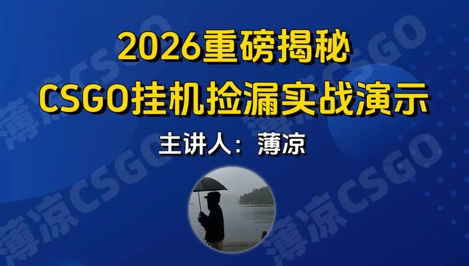 CSGO游戏挂机游戏搬砖最新升级，普通小白一部手机可日入300+当天见结果，支持验证 - 52网创-52网创