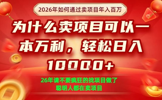 一单净利润1K+，26年想年入100个W，死磕卖项目就够了【揭秘】-52网创
