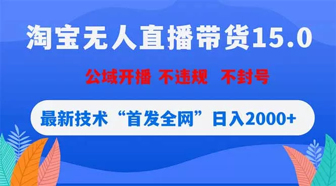 淘宝无人直播带货15.0，不封号，不违规，公域玩法，首发全网日入2000+ - 52网创-52网创