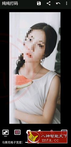 纯纯打码v4.10.2高级版 - 52网创-52网创