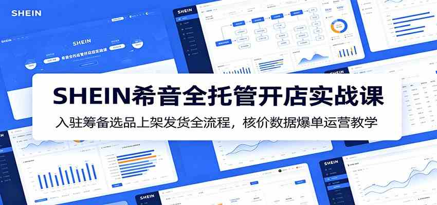 SHEIN希音全托管开店实战课：入驻筹备选品上架发货全流程，核价数据爆单运营教学 - 52网创-52网创