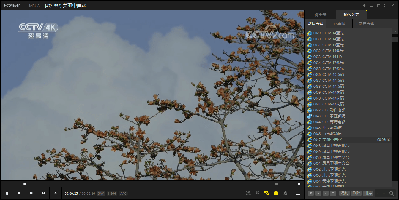 PotPlayer v1.7.22777绿色版-52网创