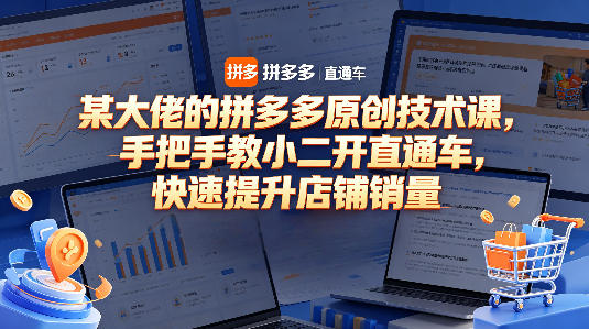 某大佬的拼多多原创技术课，手把手教小二开直通车，快速提升店铺销量 - 52网创-52网创