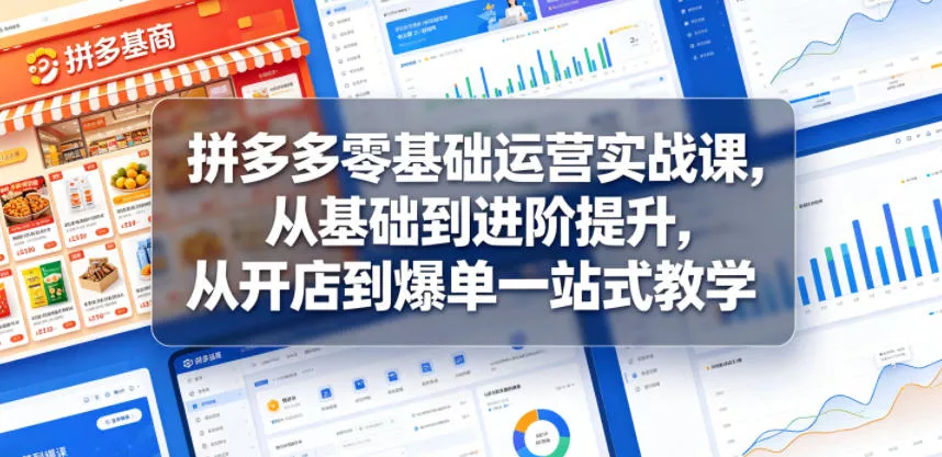 拼多多零基础运营实战课，从基础到进阶提升，从开店到爆单一站式教学 - 52网创-52网创