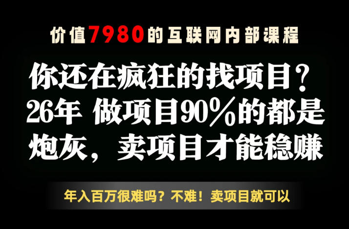 26年请不要疯狂的找项目了，卖项目远比你想象的暴利，你也可以月入10W+【揭秘】 - 52网创-52网创