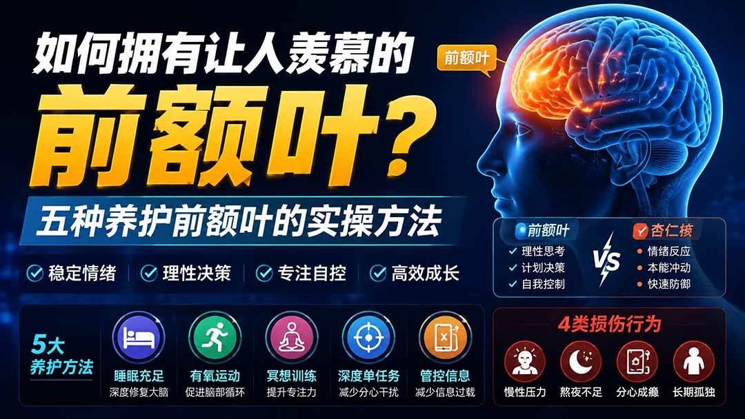 （19805期）付费文章：如何拥有让人羡慕的前额叶？五种养护前额叶的实操方法 - 52网创-52网创