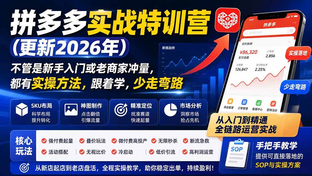 （19842期）拼多多实战特训营(更新2026年)：不管是新手入门或老商家冲量，都有实操方法，跟着学，少走弯路-52网创