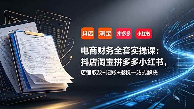 （19001期）电商财务全套实操课：抖店淘宝拼多多小红书，店铺取数+记账+报税一站式解决-52网创