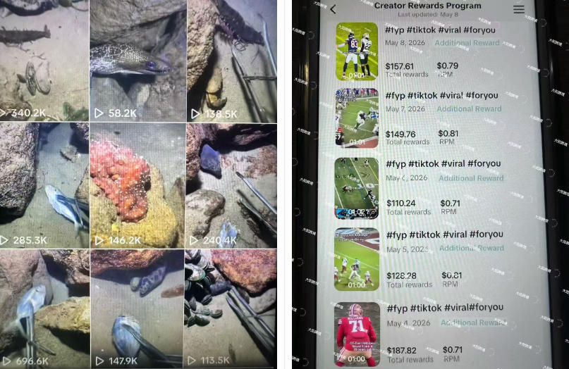 Tiktok中视频解说教程，体育+温情文案双赛道实操教程一站式带你落地，教你出海賺美刀 - 52网创-52网创