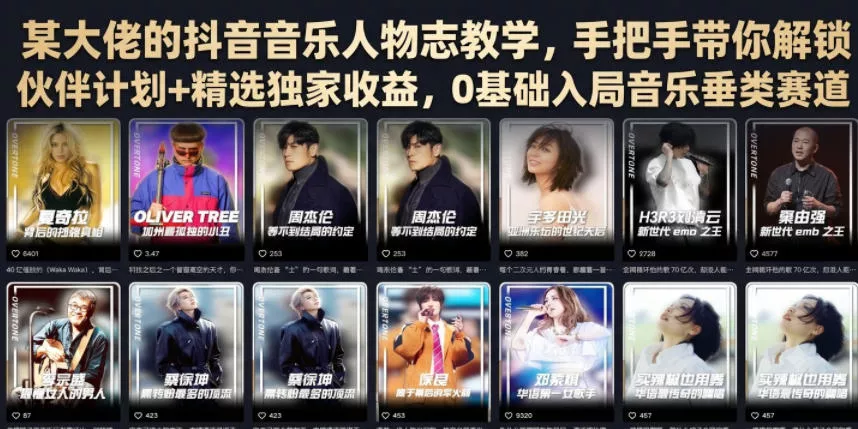 某大佬的抖音音乐人物志教学，手把手带你解锁伙伴计划+精选独家收益，0基础入局音乐垂类赛道 - 52网创-52网创