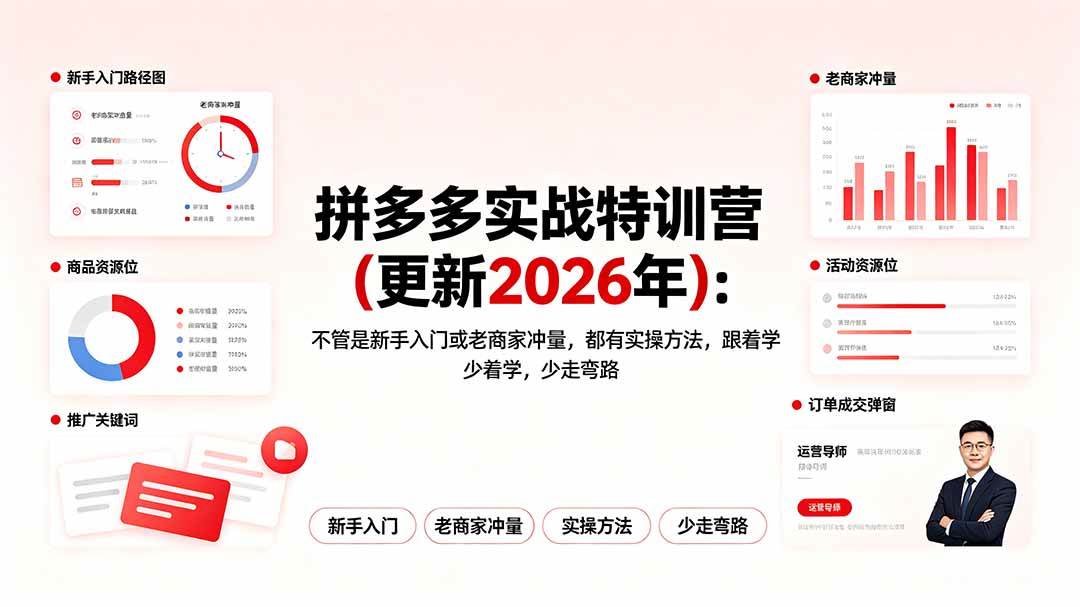 （19291期）拼多多实战特训营(更新2026年)：不管是新手入门或老商家冲量，都有实操方法，跟着学，少走弯路 - 52网创-52网创