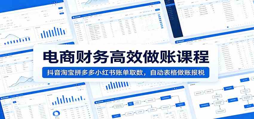 电商财务高效做账课程：抖音淘宝拼多多小红书账单取数，自动表格做账报税 - 52网创-52网创