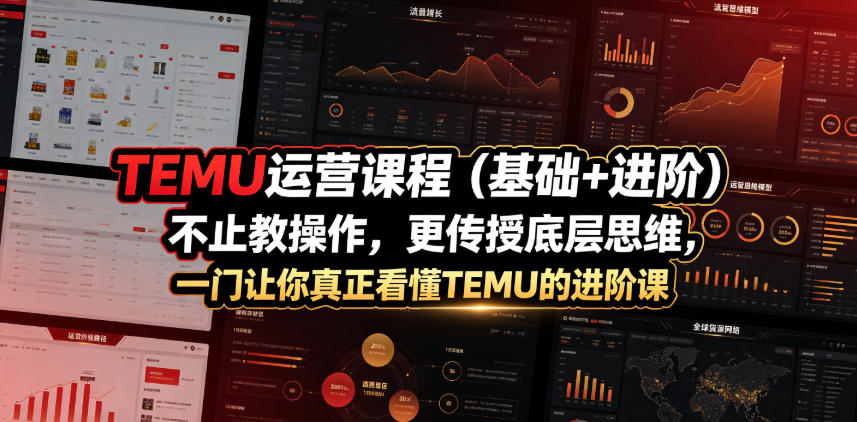 TEMU运营课程（基础+进阶），不止教操作，更传授底层思维，一门让你真正看懂TEMU的进阶课 - 52网创-52网创